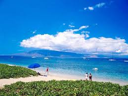 The Maui activity companies