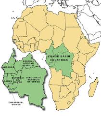 The Congo Rainforest