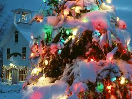 http://search.aol.com/aol/imageDetails?s_it=imageDetails&q=christmas+tree&img=http://www.newvistawallpaper.com/d/39066/-/christmas-tree-01_1024_x_768.jpg&site=&count_override=20&host=http://www.newvistawallpaper.com/holidays/christmas/christmas-tree-01.html&width=150&height=113&thumbUrl=http://images-partners-tbn.google.com/images?q=tbn:Lqig088ncS0xcM:www.newvistawallpaper.com/d/39066/-/christmas-tree-01_1024_x_768.jpg&b=image?q=christmas+tree&page=7&count_override=20&oreq=8d0ff9a519d340dc9de5df61161f8dd2&oreq=55a7c8a7f60b4f56b078ae375fbe9ff2&imgHeight=768&imgWidth=1024&imgTitle=<b>Christmas</b>+<b>Tree</b>+01+Wallpaper&imgSize=195061&hostName=www.newvistawallpaper.com