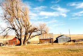 Nebraska prairie