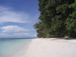 Learn more about Palau