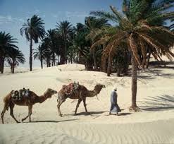 holidays to tunisia