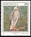 Accipiter ovampensis