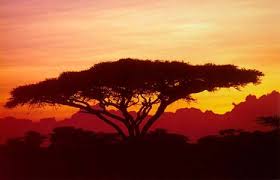 Tanzania is home to several