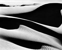Edward Weston