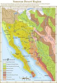 The Sonoran
