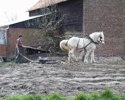 Ici, un agriculteur en train de ...