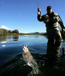 “Pesca Deportiva y especies
