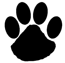 ... wildcats@sowega.net