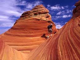 Arizona's growing