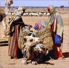 aids survival in Somalia