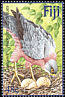 Fiji Goshawk Accipiter