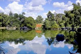 Jardin Botanico