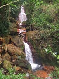 Costa Rica « the rear view
