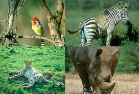 Kenia-Africa | Turismo y