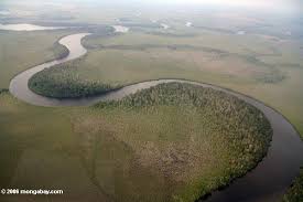 The coastal region of Gabon is