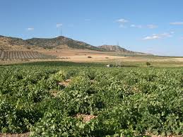 Ciudad Real, España