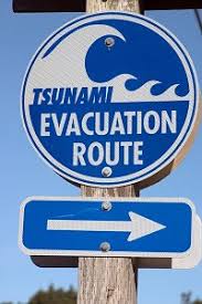 If another big tsunami rolls across ...