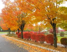 northern New Jersey.
