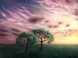 Two Tree in Nature