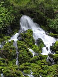 Learn more about Oregon