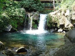 URUAPAN MICHOACAN MEXICO
