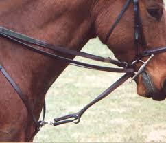 Rein-Aid&reg; Draw Reins