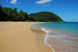 location guadeloupe : plage grande ...