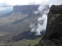 El Roraima - Venezuela Tuya