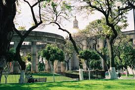097 Guadalajara