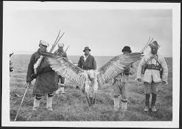 (Gypaetus barbatus) on the