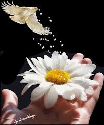 figuras para Flores: