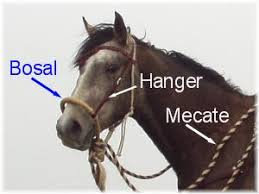 A horse bosal with the parts labeled