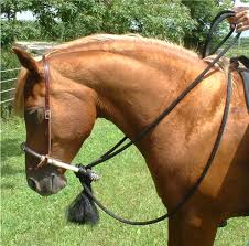 Bosal Set $45