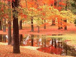 automne1.jpg