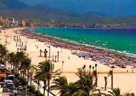 Spanish Courses in Alicante