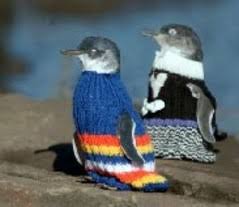 penguins (Eudyptula minor)