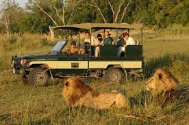 Botswana Mobile Safaris and