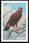 Eagle Aquila hastata