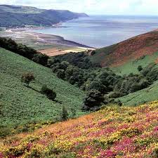Exmoor, Somerset