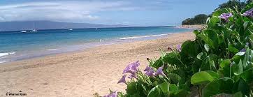 Hawaii's reputation as an