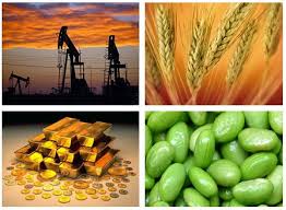 focus on commodity based