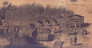 Slave Voices - Plantation