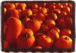 ... when we carved the pumpkins, ...
