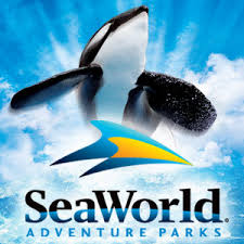 http://search.aol.com/aol/redir?src=image&requestId=866bae5a11581c08&clickedItemRank=20&userQuery=sea+world&clickedItemURN=imageDetails?invocationType=imageDetails&query=sea+world&img=http%3A%2F%2Fwww.spwoa.com%2FAMM%2Fimages%2Fseaworld.jpg&site=&host=http%3A%2F%2Fwww.spwoa.com%2FAMM%2Fattractions.htm&width=116&height=116&thumbUrl=http%3A%2F%2Fimages-partners-tbn.google.com%2Fimages%3Fq%3Dtbn%3AdT-Az11JyvpjQM%3Awww.spwoa.com%2FAMM%2Fimages%2Fseaworld.jpg&b=image%3Fquery%3Dsea%2Bworld%26page%3D3%26displayCount%3D20%26clickstreamid%3D-6119595180780438692&moduleId=image_results.jsp.M&obUrl=imageDetails?invocationType=imageDetails&query=sea+world&img=http%3A%2F%2Fwww.spwoa.com%2FAMM%2Fimages%2Fseaworld.jpg&site=&host=http%3A%2F%2Fwww.spwoa.com%2FAMM%2Fattractions.htm&width=116&height=116&thumbUrl=http%3A%2F%2Fimages-partners-tbn.google.com%2Fimages%3Fq%3Dtbn%3AdT-Az11JyvpjQM%3Awww.spwoa.com%2FAMM%2Fimages%2Fseaworld.jpg&b=image%3Fsea%2Bworld&clickedItemDescription=Image Results