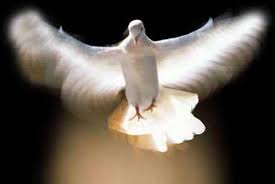 ... regard for the Holy Spirit.