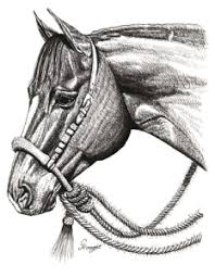 Tying the Mecate