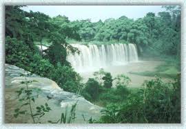 from the country Cameroon,