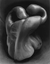 Edward Weston « Ground Glass