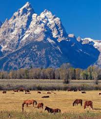 A certified Wyoming death